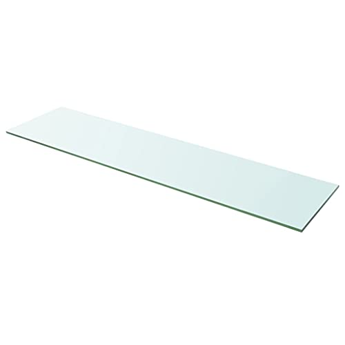 KTHLBRH Regale für Wände Schweberegale Regale Wand Regalbrett - Regalböden 2 STK. Glas Transparent 100x25 cm für Büro Wohnzimmer Balkon Küchen KTHLBRH Regale für Wände Schweberegale Regale Wand Regalbrett - Regalböden 2 STK. Glas Transparent 100x25 cm für Büro Wohnzimmer Balkon Küchen von KTHLBRH