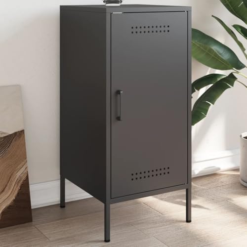 KTHLBRH Sideboard Schwarz kommoden gartenschrank for Innenraum Wohnzimmer 36x39x79 cm Stahl von KTHLBRH
