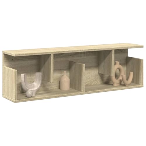 KTHLBRH Wandschrank Dekoratives Wandregal Pflanzenregal für Wohnzimmer Schlafzimmer 100x20x30 cm Sonoma-Eiche Holzwerkstoff von KTHLBRH