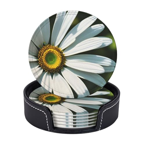 Runde Untersetzer für Getränke, 6 Stück, PU-Leder-Untersetzer mit Halter, 10,2 cm, Getränkeuntersetzer für Couchtisch, Gänseblümchen-Untersetzer für Tischschutz, Trinkbechermatte von KTHSNSKL