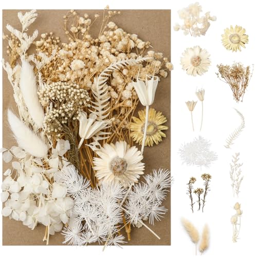 Natürliche Trockenblumen zum Basteln, Gemischte Getrocknete Blumen, Trockenblumen Deko für DIY Epoxidharz Kunsthandwerk Kerzen Deko Karten Deko Scrapbooking Hochzeitsdekoration Natürliche Trockenblumen zum Basteln, Gemischte Getrocknete Blumen, Trockenblumen Deko für DIY Epoxidharz Kunsthandwerk Kerzen Deko Karten Deko Scrapbooking Hochzeitsdekoration von KUDLE