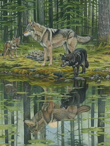 Diamond Painting Wolf, 5D Diamond Painting Erwachsene Tier, DIY Basteln Erwachsene, Mosaikherstellung Set, Vollbohrer Diamant Kunst Stickerei Kreuzstich Kits, Deko Wohnzimmer Geschenke 70x95cm 5-4351 Diamond Painting Wolf, 5D Diamond Painting Erwachsene Tier, DIY Basteln Erwachsene, Mosaikherstellung Set, Vollbohrer Diamant Kunst Stickerei Kreuzstich Kits, Deko Wohnzimmer Geschenke 70x95cm 5-4351 von KUEGDUNG