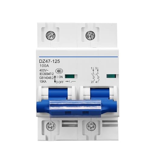 AC MCB 2P 80A 100A 125A 240V/415V 50HZ/60HZ nimi Circuit breaker 10ka(125A) von KUELVTYIT