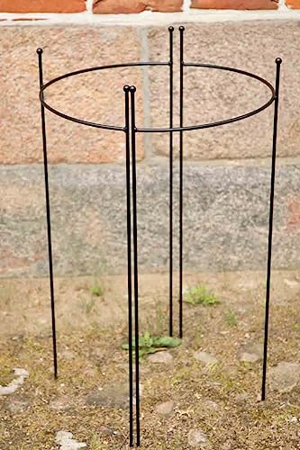 KUHEIGA 2er Set Staudenhalter halbrund, Höhe 90cm, Breite 45cm Schwarz pulverbeschichtet KUHEIGA 2er Set Staudenhalter halbrund, Höhe 90cm, Breite 45cm Schwarz pulverbeschichtet von KUHEIGA