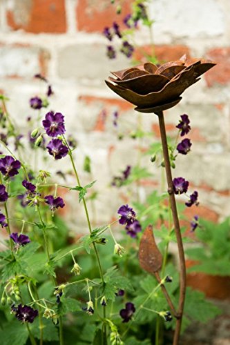 KUHEIGA Gartenstecker/Dekoblume Rose, Edelrost Höhe: 80cm Ø 12cm aus Metall von KUHEIGA