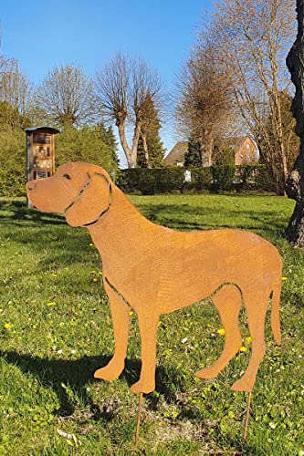 KUHEIGA Gartenstecker Hund Tier Metall Rost Höhe: 70cm Gartenfigur Gartendeko Jagdhund KUHEIGA Gartenstecker Hund Tier Metall Rost Höhe: 70cm Gartenfigur Gartendeko Jagdhund von KUHEIGA