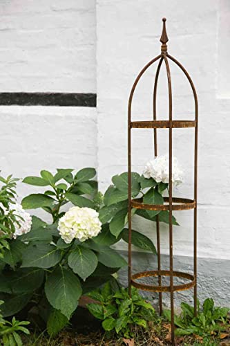 KUHEIGA Rankgerüst 10mm Massiveisen! Obelisk Blumenhilfe Höhe 120cm von KUHEIGA