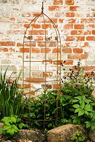 KUHEIGA Rankgitter, Rankhilfe, Rankgerüst, Rost, Höhe: 150 cm, Volleisen von KUHEIGA