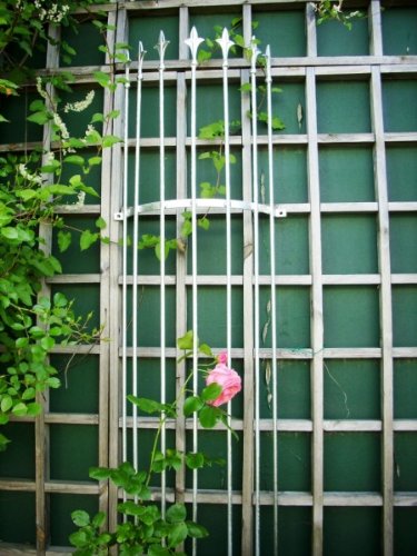 KUHEIGA Rankgitter Höhe 150cm, Verzinkt, Rosengitter Rosenhalter, Wandrankgitter KUHEIGA Rankgitter Höhe 150cm, Verzinkt, Rosengitter Rosenhalter, Wandrankgitter von KUHEIGA