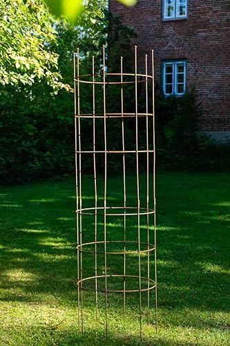 KUHEIGA Rankhilfe Metall Ø 60cm H: 200ccm Rost Rankhilfe Rankgitter Obelisk Rankgerüst 2m von KUHEIGA