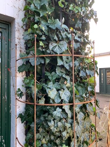 KUHEIGA Rankhilfe halbrund Metall Breite 60cm H:200cm Rost Rankgitter Obelisk Rankgerüst KUHEIGA Rankhilfe halbrund Metall Breite 60cm H:200cm Rost Rankgitter Obelisk Rankgerüst von KUHEIGA