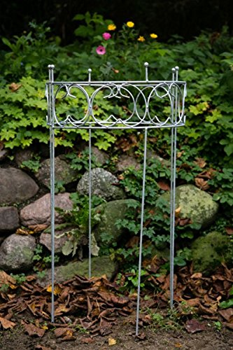 KUHEIGA Stabiler Staudenhalter aus Metall rund, Strauchhalter, Rankgerüst, Zink KUHEIGA Stabiler Staudenhalter aus Metall rund, Strauchhalter, Rankgerüst, Zink von KUHEIGA
