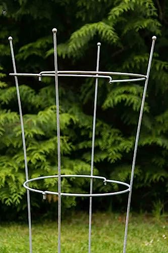 KUHEIGA Staudenhalter Verzinkt aus Metall H: 120m - 2 TLG. Strauchhalter Rankgerüst, Rankhilfe KUHEIGA Staudenhalter Verzinkt aus Metall H: 120m - 2 TLG. Strauchhalter Rankgerüst, Rankhilfe von KUHEIGA