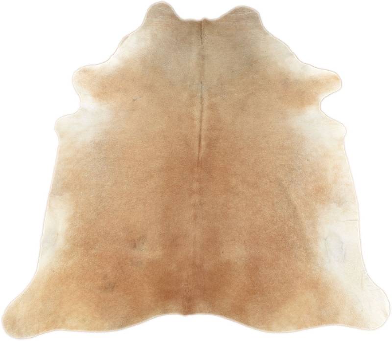 KUHFELL online & NOMAD Fellteppich Kuhfell Beige Rinder Fell Teppich Hellbraun Beige in L & XL KUHFELL online & NOMAD Fellteppich Kuhfell Beige Rinder Fell Teppich Hellbraun Beige in L & XL von KUHFELL online & NOMAD