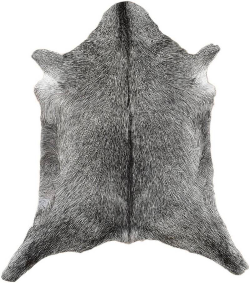 KUHFELL online & NOMAD Fellteppich ECHTES ZIEGENFELL BRAUN BEIGE DEKOFELL 80 x 60 cm KUHFELL online & NOMAD Fellteppich ECHTES ZIEGENFELL BRAUN BEIGE DEKOFELL 80 x 60 cm von KUHFELL online & NOMAD