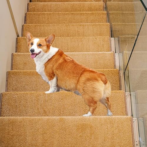 KUKIXKK Treppenstufen für Holzstufen im Innenbereich, 1 Packung rutschfeste Teppich-Treppenstufen, Treppenkantenteppiche für Kinder, Senioren und Hunde(Beige,30x100cm) von KUKIXKK