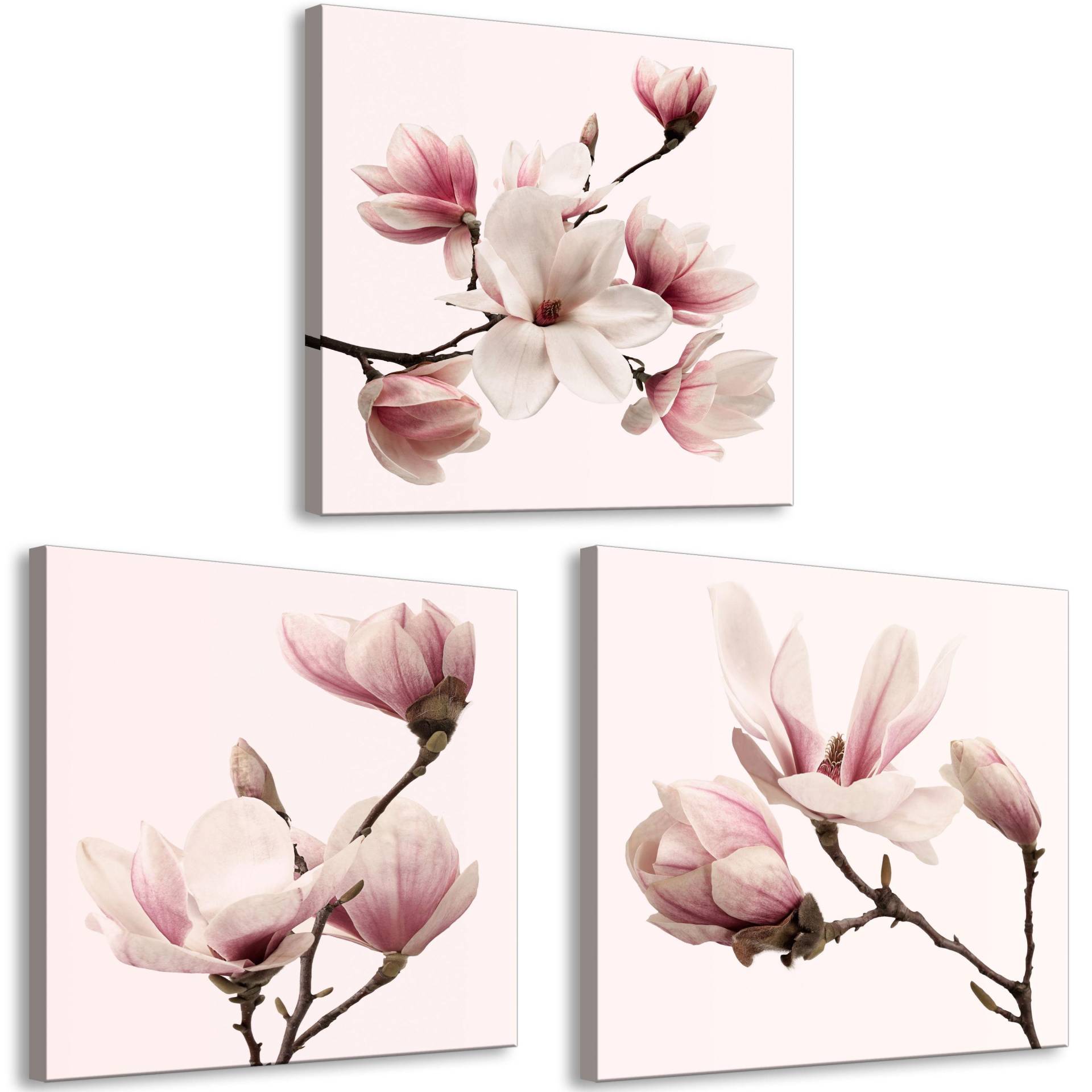KUNSTDRUCK Rosa 120/40 cm KUNSTDRUCK Rosa 120/40 cm von KUNSTLOFT