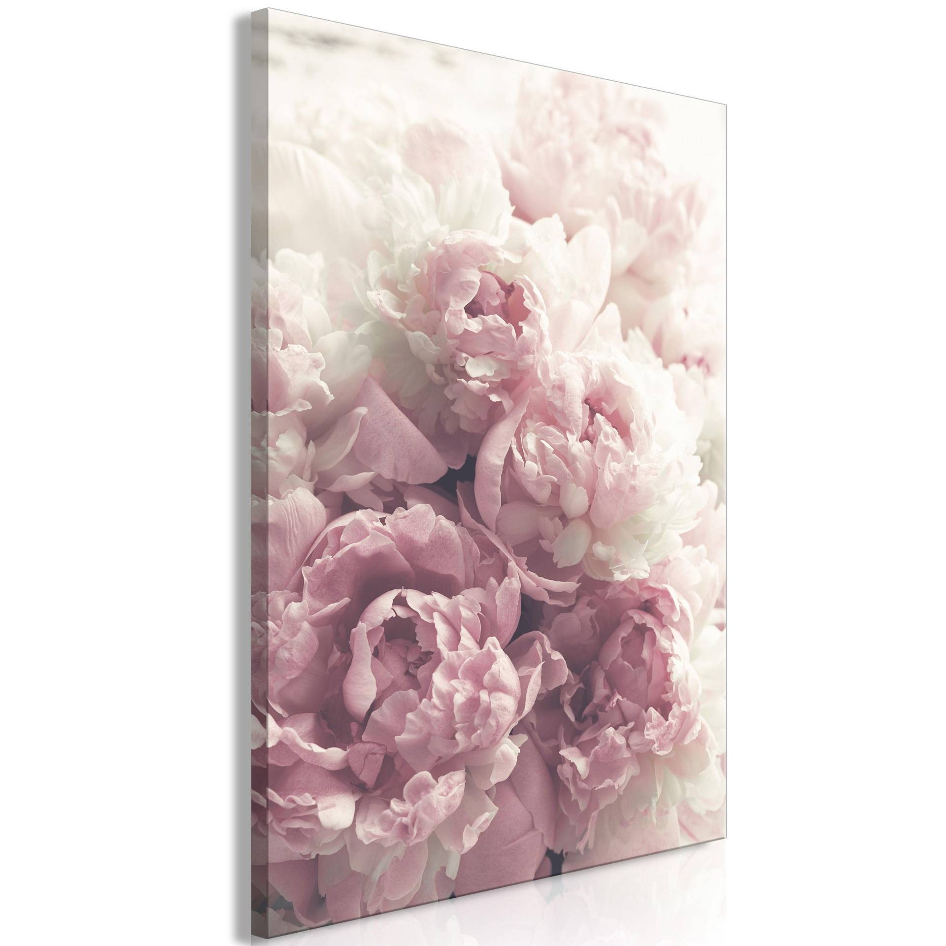 KUNSTDRUCK Rosa 40/60 cm KUNSTDRUCK Rosa 40/60 cm von KUNSTLOFT