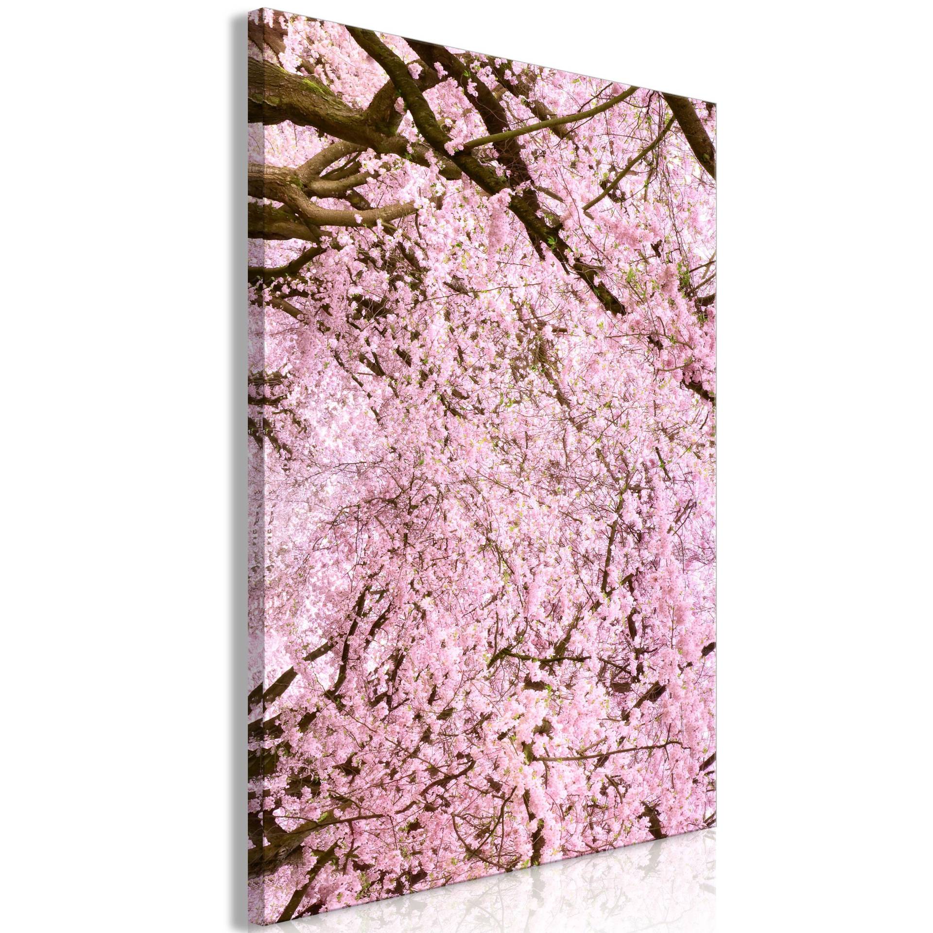 KUNSTDRUCK Rosa 40/60 cm KUNSTDRUCK Rosa 40/60 cm von KUNSTLOFT