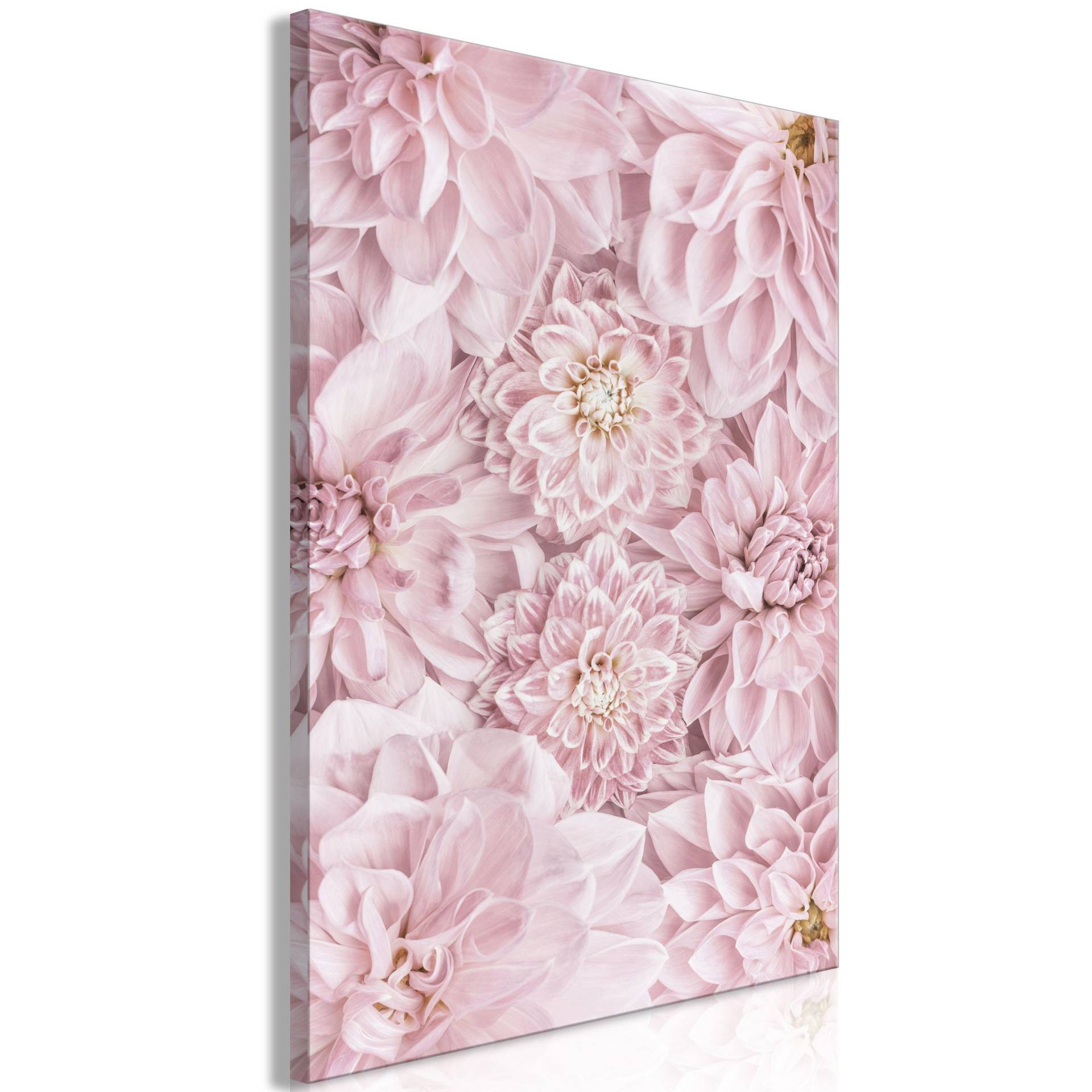 KUNSTDRUCK Rosa 40/60 cm KUNSTDRUCK Rosa 40/60 cm von KUNSTLOFT
