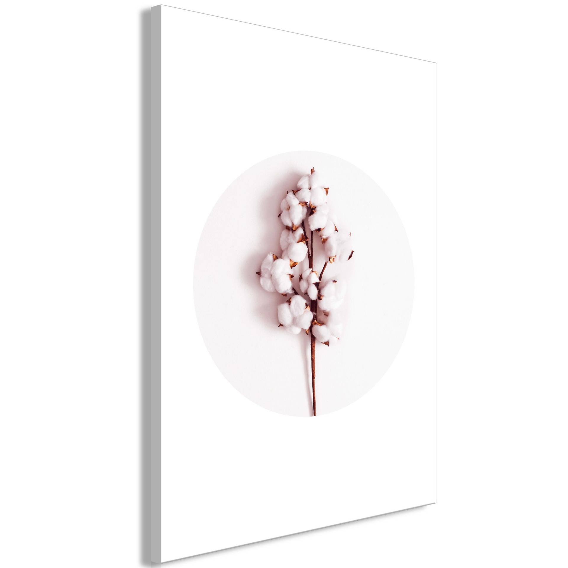 KUNSTDRUCK Rosa 60/90 cm KUNSTDRUCK Rosa 60/90 cm von KUNSTLOFT