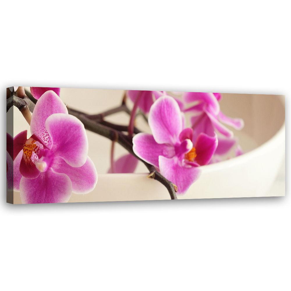 KUNSTDRUCK Rosa 90/30 cm KUNSTDRUCK Rosa 90/30 cm von KUNSTLOFT