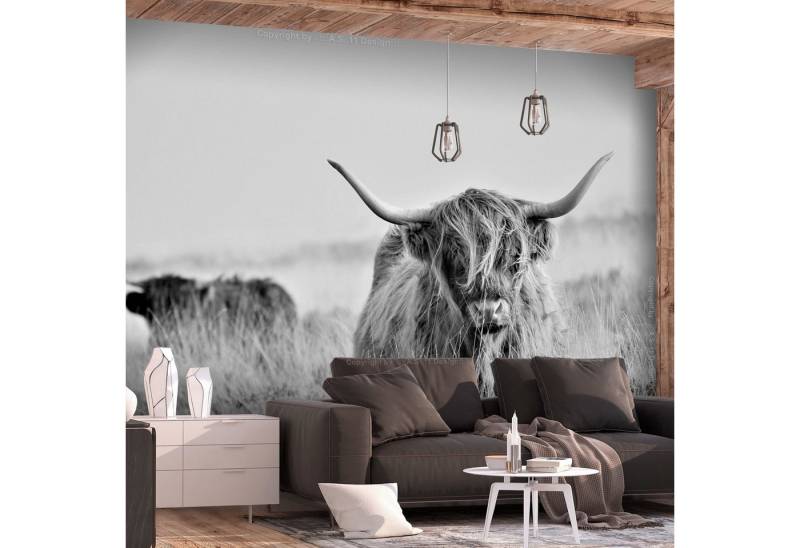 KUNSTLOFT Vliestapete Kuh 0.98x0.7 m, matt, lichtbeständige Design Tapete von KUNSTLOFT