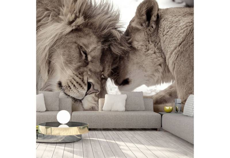 KUNSTLOFT Vliestapete Löwe 1x0.7 m, Halb-matt, lichtbeständige Design Tapete KUNSTLOFT Vliestapete Löwe 1x0.7 m, Halb-matt, lichtbeständige Design Tapete von KUNSTLOFT