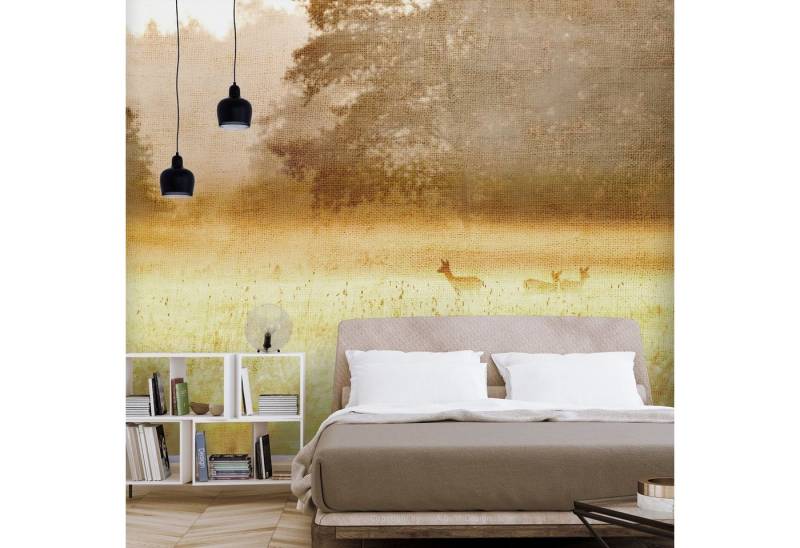 KUNSTLOFT Vliestapete Morning Dew 0.98x0.7 m, Matt, lichtbeständige Design Tapete KUNSTLOFT Vliestapete Morning Dew 0.98x0.7 m, Matt, lichtbeständige Design Tapete von KUNSTLOFT