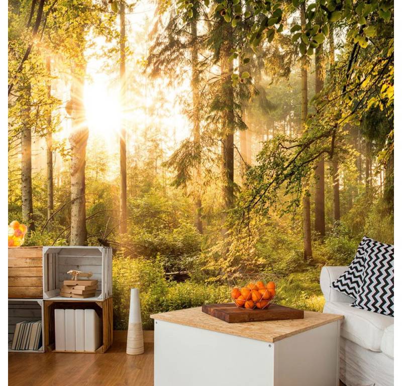 KUNSTLOFT Vliestapete Mystic of the Morning 3.43x2.45 m, Halb-matt, Matt, lichtbeständige Design Tapete von KUNSTLOFT