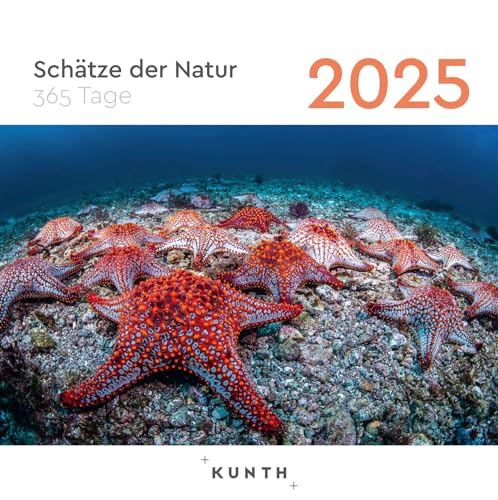Schätze der Natur - KUNTH 365-Tage-Abreißkalender 2025: Tägliche Inspiration in Bild und Text. Kalender zum Aufhängen oder Aufstellen. von KUNTH