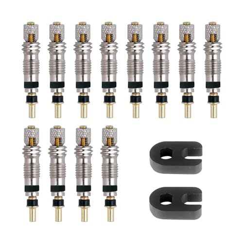 Magnetventil Ventileinsatz 2/6/12PCS Messing Rennrad Schläuche Service Teile Werkzeug Optional Ventil(Presta Core12PC 2V) von KUNYOS