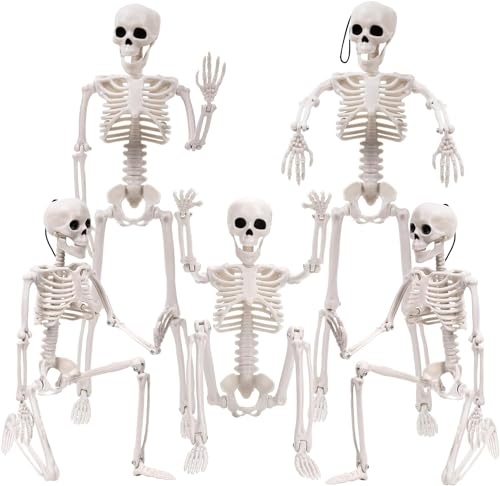 Halloween Deko Skelett Outdoor Innen Dekoration Gruselig Party Horror Set Decoration Decor Türdeko Halloweendeko Scary Gartendeko Figur Außen Schädel Knochen Gruselig Klein Bewegliche Ganzkörper(5pcs) Halloween Deko Skelett Outdoor Innen Dekoration Gruselig Party Horror Set Decoration Decor Türdeko Halloweendeko Scary Gartendeko Figur Außen Schädel Knochen Gruselig Klein Bewegliche Ganzkörper(5pcs) von KUOL-KIDS