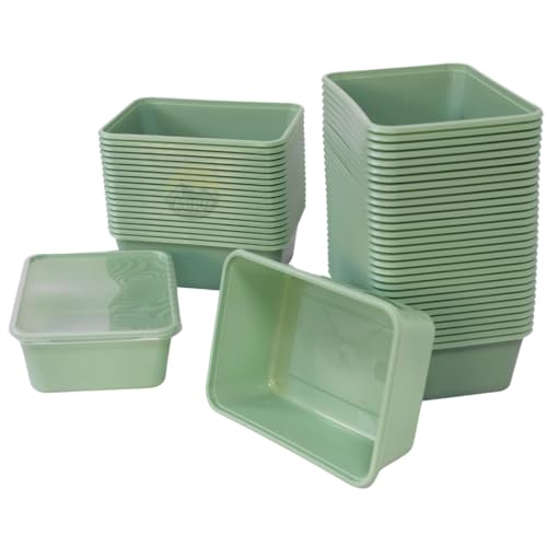 KURTT 50 Stück, Meal Prep Behälter, Frischhaltebehälter, wiederverwendbare Mikrowellenbehälter mit Deckel, hochwertig, beige - mikrowellengeeignet, spülmaschinenfest BPA-frei (Grün, 1000ml) von KURTT