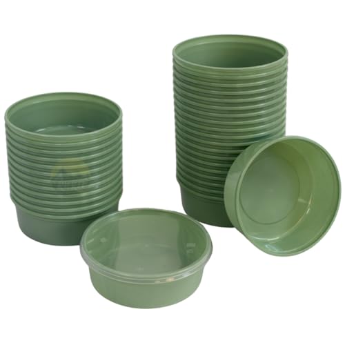 KURTT 50 Stück, Meal Prep Behälter, Frischhaltebehälter, wiederverwendbare Mikrowellenbehälter mit Deckel, hochwertig, beige - mikrowellengeeignet, spülmaschinenfest BPA-frei (Grün, 250ml) von KURTT