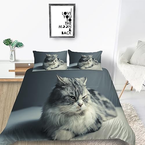 Bettlaken 180x200 Graue Katze Bettwäsche Set 3D Bedruckte Bettbezug Set mit ReißVerschluss, Weich Flauschige Hypoallergen Bettbezug + 2 Kissenbezug von KUSHA