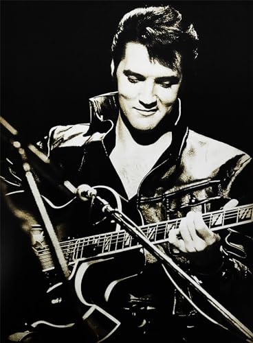 KUSTOM ART Dekoratives Wandposter Serie Artiti Celebrations Elvis Presley mit Gitarre Druck auf beschichtetem Papier 40 x 30 cm ohne Rahmen von KUSTOM ART