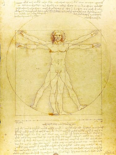 KUSTOM ART Dekoratives Wandposter Serie Berühmte Maler Leonardo da Vinci Vitruvianischer Mann Kunstdruck auf beschichtetem Papier 40x30 cm ohne Rahmen von KUSTOM ART