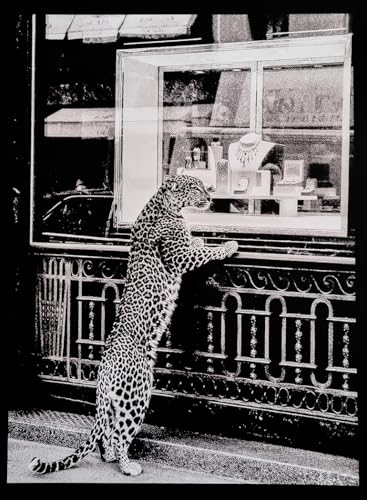 KUSTOM ART Dekoratives Wandposter Serie Tiere Leopard Vitrine Schmuck Kunstdruck auf beschichtetem Papier 40 x 30 cm ohne Rahmen von KUSTOM ART