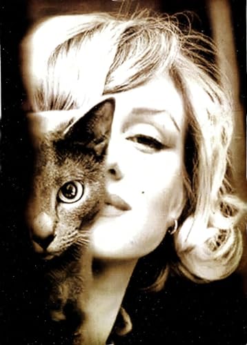 KUSTOM ART Dekoratives Wandposter Serie Star von HollYwood Marilyn Monroe Mit Katze Kunstdruck auf beschichtetem Papier 40 x 30 cm ohne Rahmen von KUSTOM ART