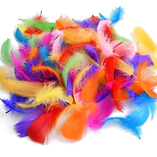 KVGBNT Federn zum Basteln, Federn, 600 Stück Bunte Federn, 8-12cm TraumfäNger Basteln, Federn Bunt für Kindergarten, DIY-Handwerk, Hochzeit, Party, Dekorationen von KVGBNT