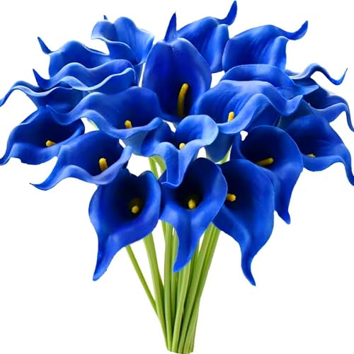 Calla-Lilienzwiebeln sind das ganze Jahr über immergrün, pflegeleicht, blühen viele Jahre, sind umweltfreundlich und für den Hausgarten geeignet Calla-Lilienzwiebeln sind das ganze Jahr über immergrün, pflegeleicht, blühen viele Jahre, sind umweltfreundlich und für den Hausgarten geeignet von KVHSVB