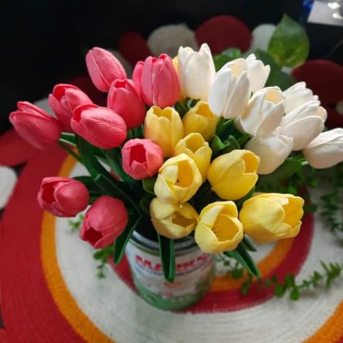 Robuste Tulpenzwiebeln – Mehrjährige Frühjahrsblumen für Balkon und Beet-4zwiebeln-E von KVHSVB
