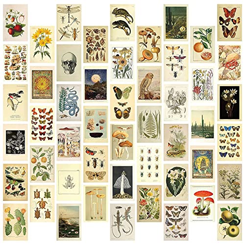 KVSERT Vintage Aesthetic Wall Collage Kit – 50 Mini Botanical Collage Art Poster (10,2 x 15,2 cm), für trendige Fotowand von KVSERT