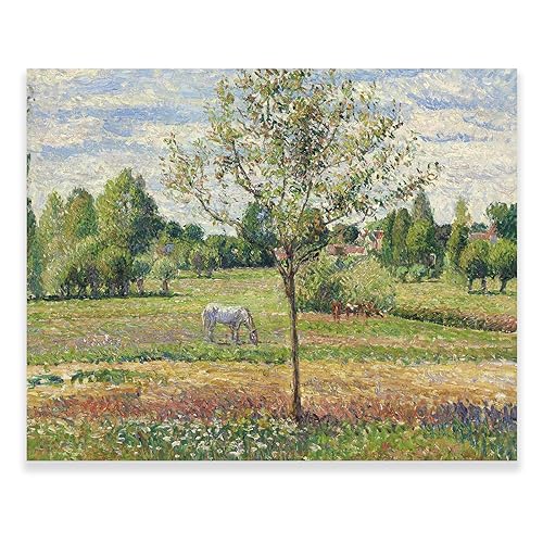 KWAY Camille Pissarro Wandkunst – Wiese mit grauem Pferd Poster – Impressionismus Kunstdrucke – Fine Art Ölgemälde Wandkunst Dekor ungerahmt Posterdrucke 30 x 38 cm von KWAY