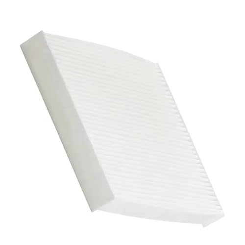 Innenraumfilter Auto-Innenraumluftfilter Passend für Ford F-150 Lightning F-250 3350 450 550 Super Duty CF12150 FL3Z-19N619-A R527997 CAF1953P Luftfilter Auto(1pc,450 Super Duty(17-22) von KWEZ