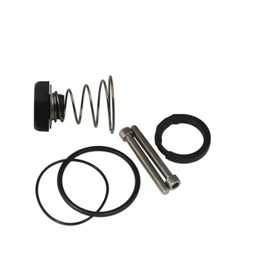 Luftfeder,Luftfederung Luftfederung Luftkompressor Pumpe Zylinderkopf mit Ring Reparatursätze für W220 W211 A6 C5 C6 A8 D3 für Phaeton LR2 XJ6(As Shown 7) von KWEZ