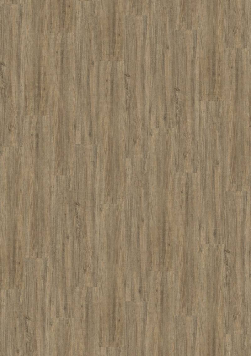 KWG Trend Comfort Bergkiefer rustik Designboden Solidtec 123x22,8 cm von KWG