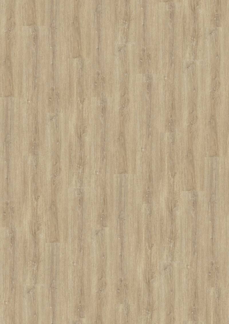 KWG Trend Comfort Eiche gekalkt Designboden Solidtec 123x22,8 cm von KWG