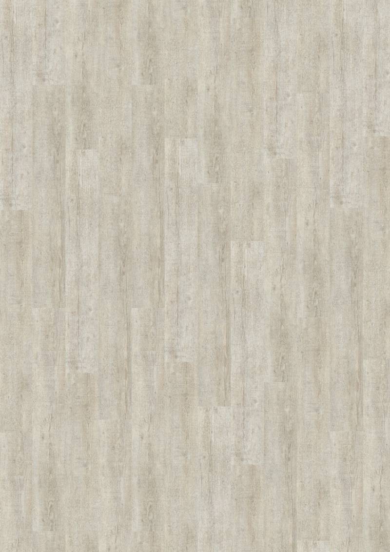 KWG Trend Life Seekiefer Designboden Solidtec 122x18,1 cm von KWG